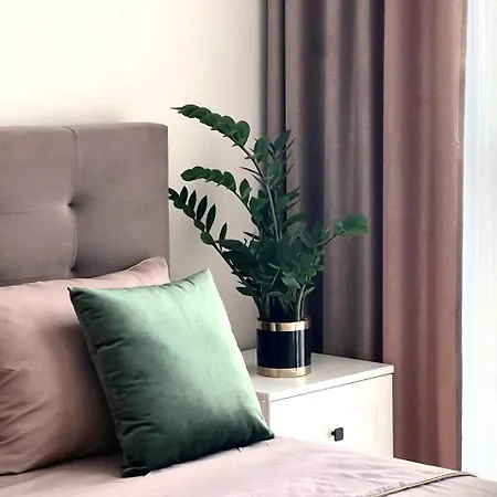 Apartment Vip Avalon