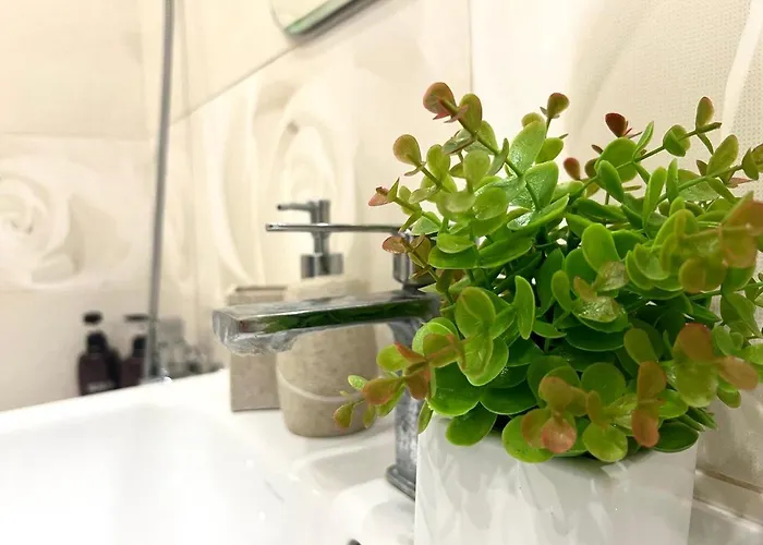 Apartamento Vip Avalon Leópolis